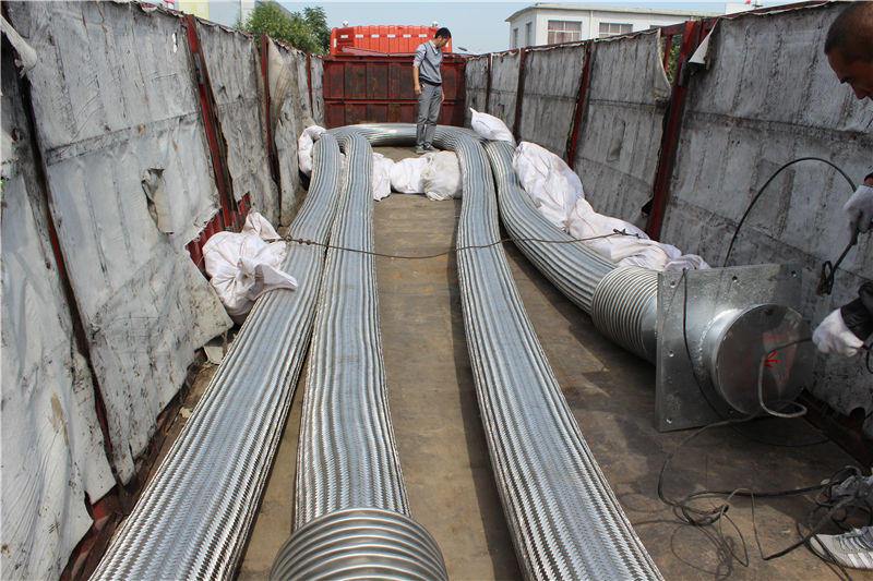 DN250 Stainless steel metal hose delivery site