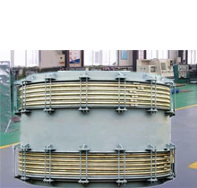 Twin axial expansion joint