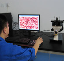 Microstructure Analysis